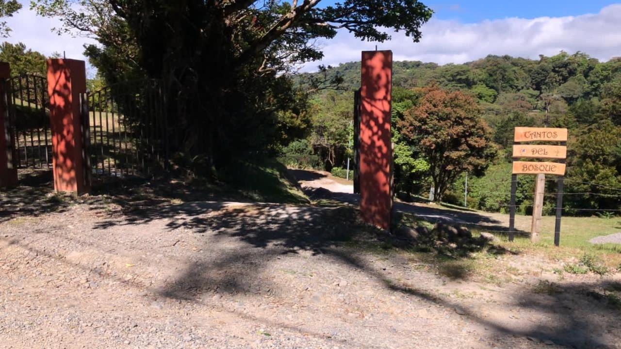 Cantos Del Bosque Monteverde Exteriér fotografie