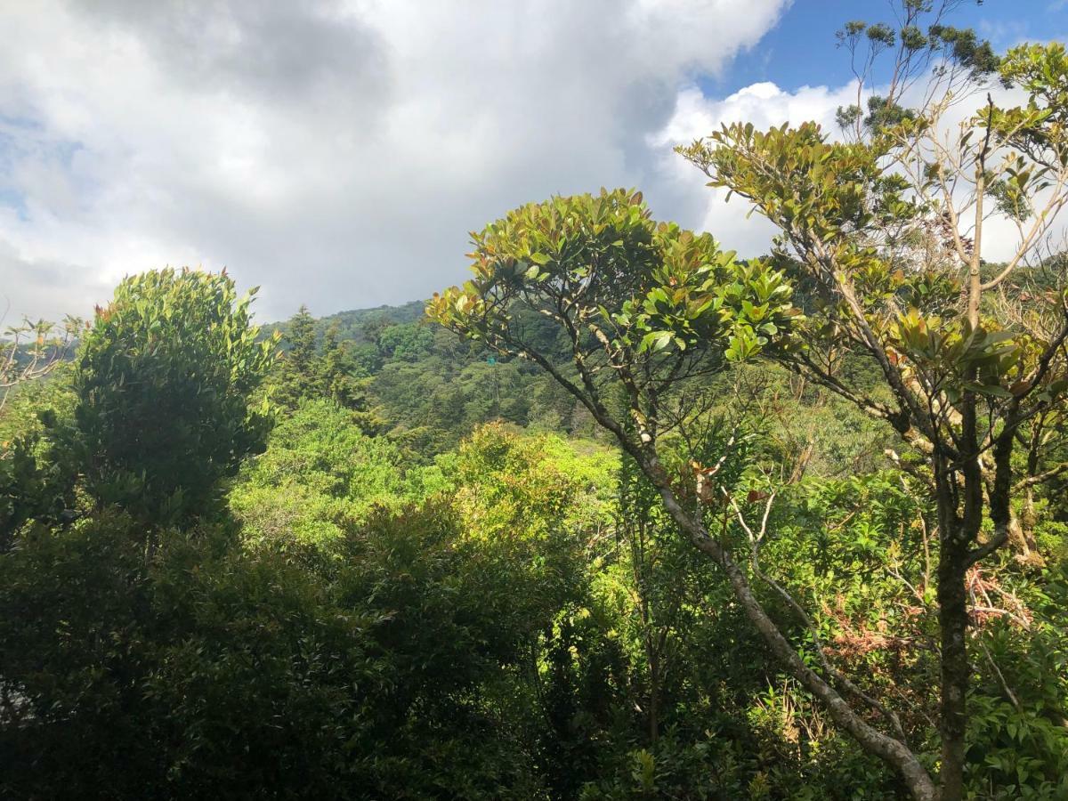 Cantos Del Bosque Monteverde Exteriér fotografie